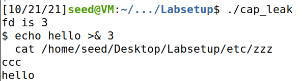image-20211021233542812